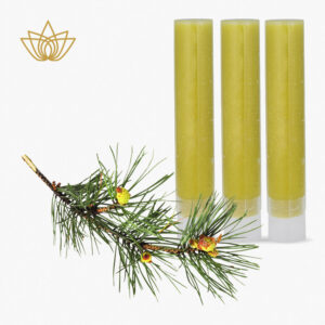 <b>Focus</b> Aroma Gel Filter Italian Dream (Pinie), 3 Stück