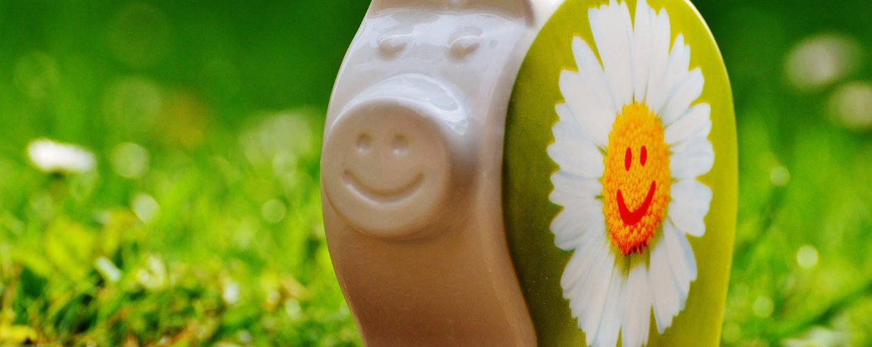 Wasser und Energie sparen