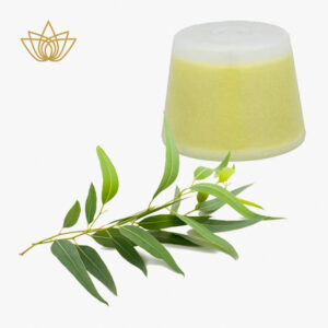 Aroma Sensation Eucalyptus Cartouche voor Wall-Fix – 1 stuk met vitamine C, verfrissende werking en ademvrijheid
